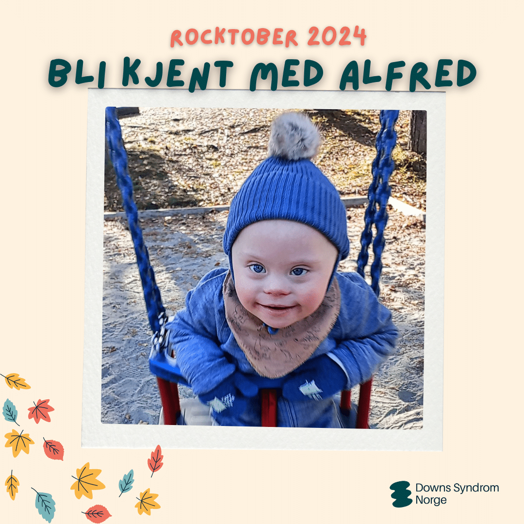 Bli kjent med Alfred Rocktober 2024